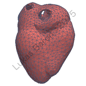 KIT - About Us - Team - Researchers - Modeling, Simulation and Optimization  of the Contraction of the Human Heart
